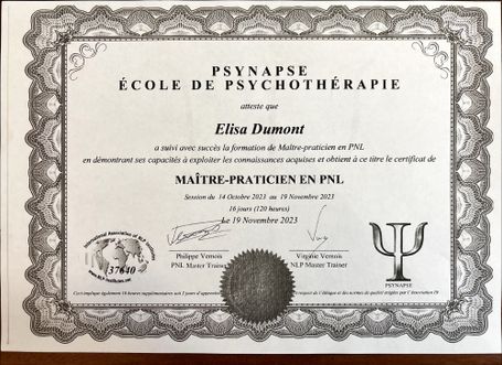 Diplôme Maître Praticien en PNL à Toulouse