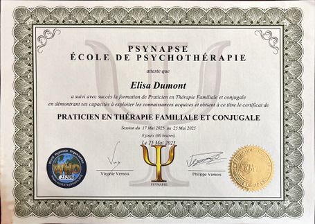 Diplôme Praticien en Thérapie Familiale et Conjugale à Toulouse