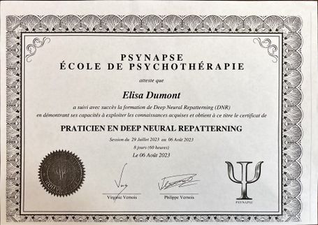 Diplôme Praticien en Deep Neural Repatterning à Toulouse
